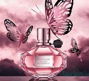 Olivia perfume cheap